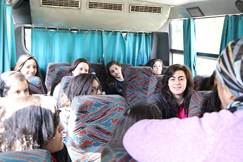 buses buses